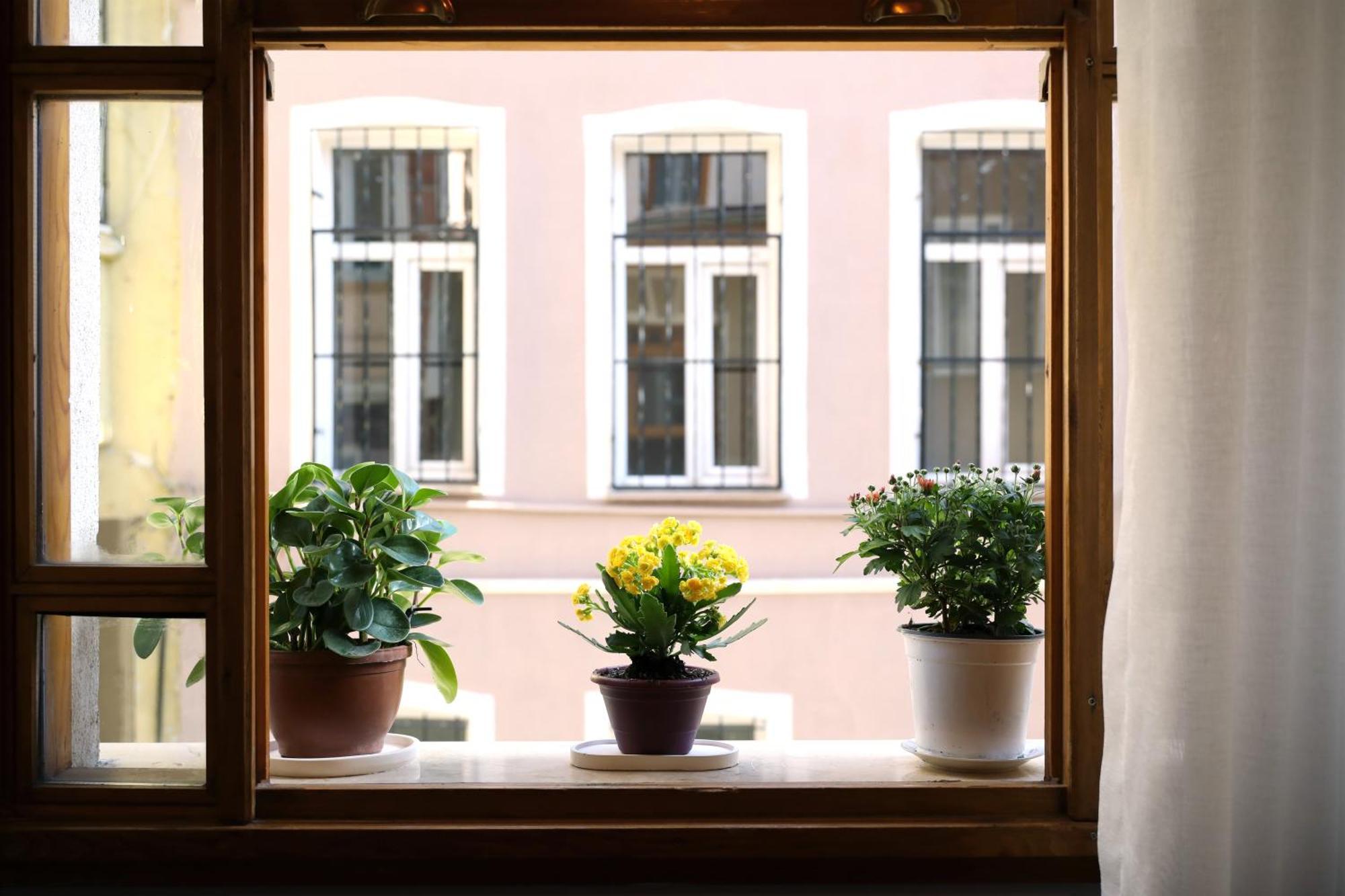 Narpera Taksim Boutique Hotel イスタンブール エクステリア 写真